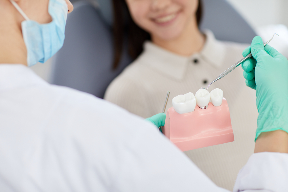 Dentist showing teeth model to female patient - Dentist in Lynnwood WA Dentist showing teeth model to female patient - Dentist in Lynnwood WA
